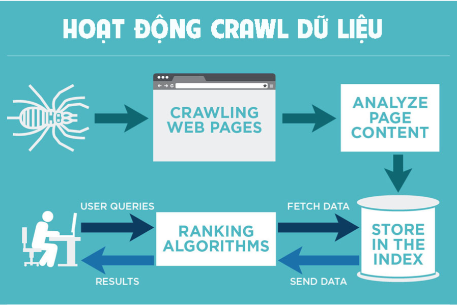 Hiểu cách Google hoạt động trước khi SEO