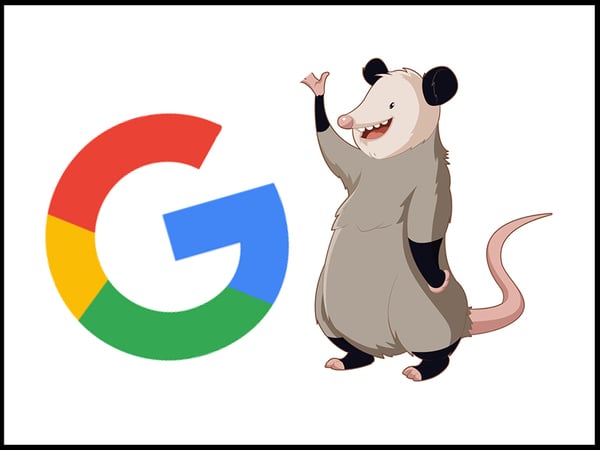 Google Possum là gì?