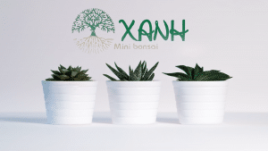 XANH BONSAI