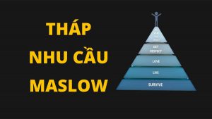 Tháp nhu cầu Maslow