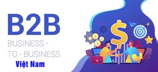 Mô hình kinh doanh B2B tại Việt Nam