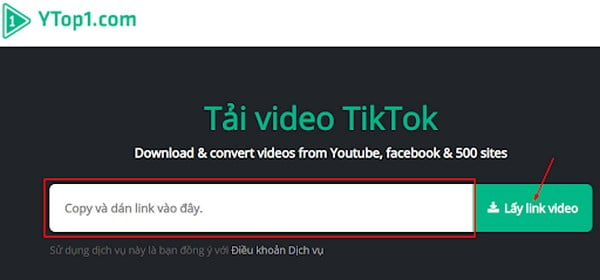 Sử dụng Ytop1 để sở hữu cơ hội vận chuyển video clip TikTok không tồn tại logo dễ dàng dàng
