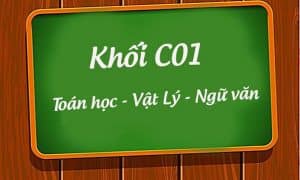 Khối C01 gồm ba môn Toán - Văn - Vật lý 