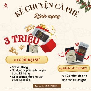 493221766 533935609790593 8709566120091293610 n